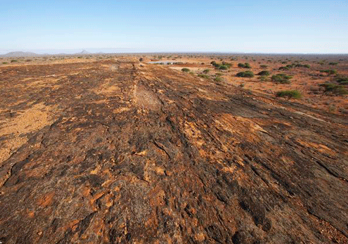 中美貿(mào)易及收儲因素等推動，中重稀土價格大漲！稀土板塊龍頭三連板